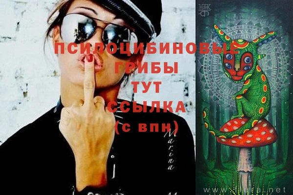 эйфоретик Видное