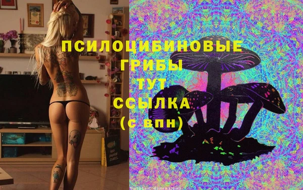 эйфоретик Видное
