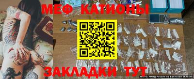 кокс Донской