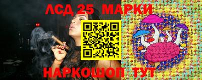 гидропоника Донецк