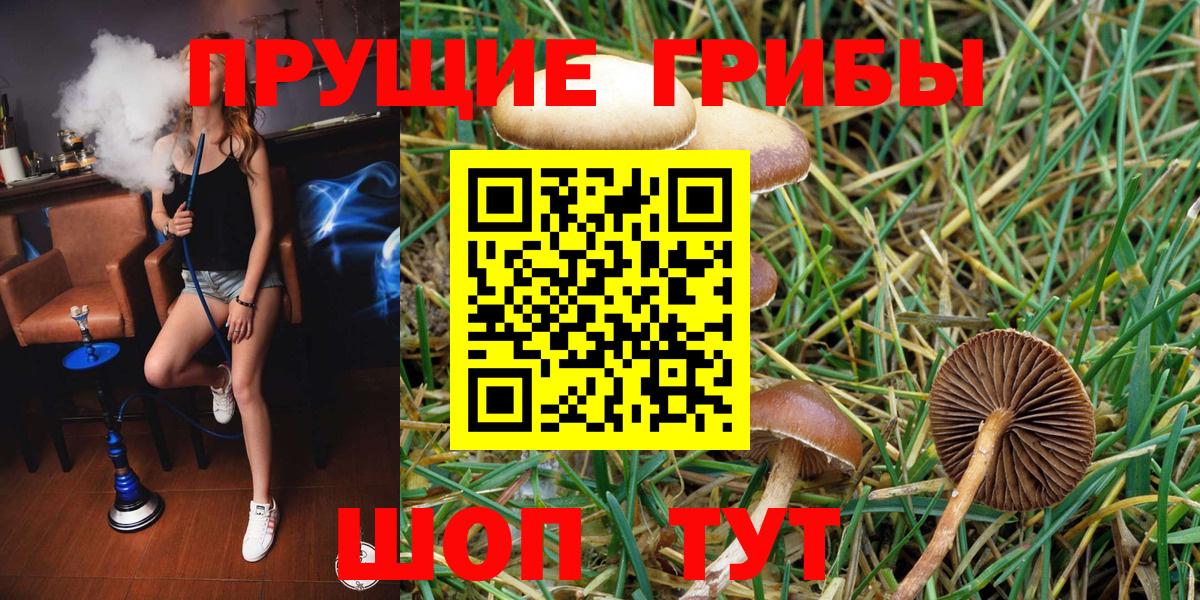 Галлюциногенные грибы ЛСД Кстово