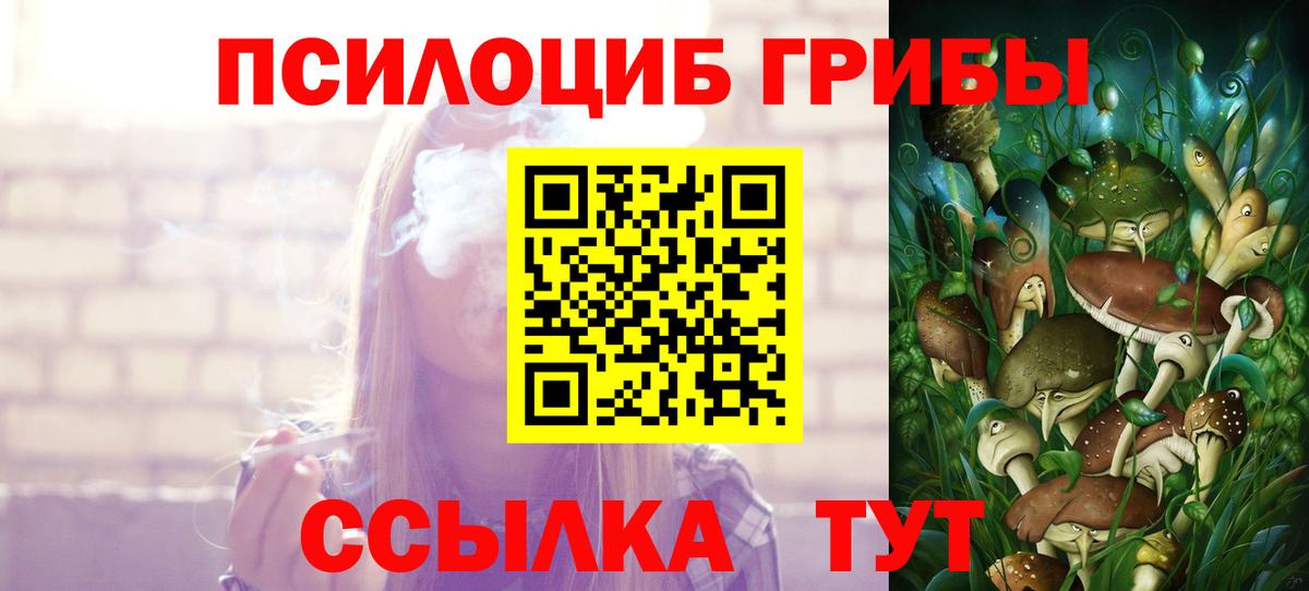 Галлюциногенные грибы прущие грибы  Галлюциногенные грибы прущие грибы  где купить наркоту  Кстово  Вход с VPN 